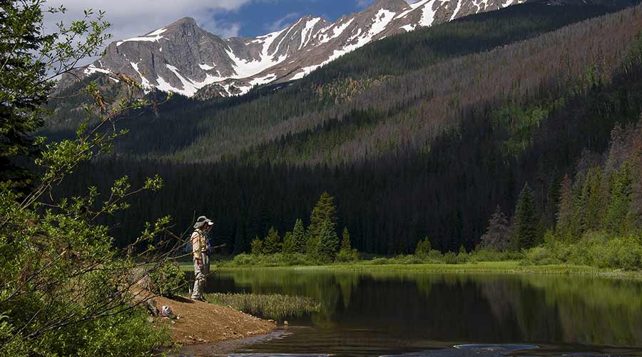 Best Places To Travel Solo In The Usa