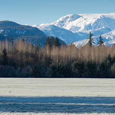 comox-yqq-small