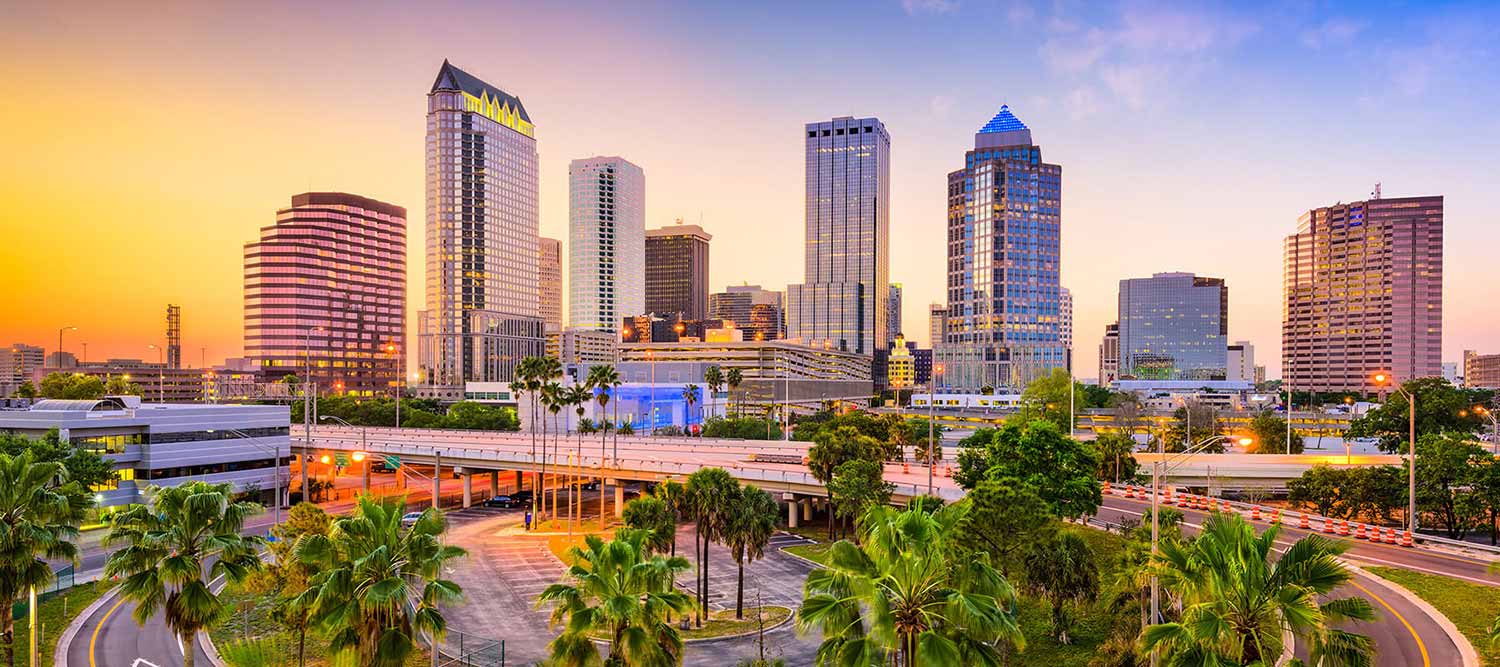 Cheap Flights to Tampa, Book Low Cost Flights to Tampa - Lookupfare Cheap Flights to Tampa, Book Low Cost Flights to Tampa - Lookupfare