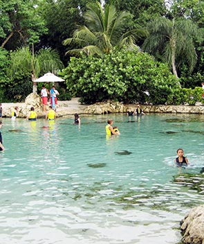 Discovery Cove