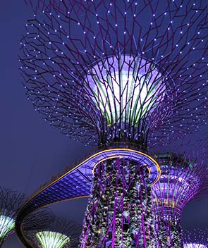 Gardens by the Bay