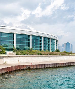 Shedd Aquarium