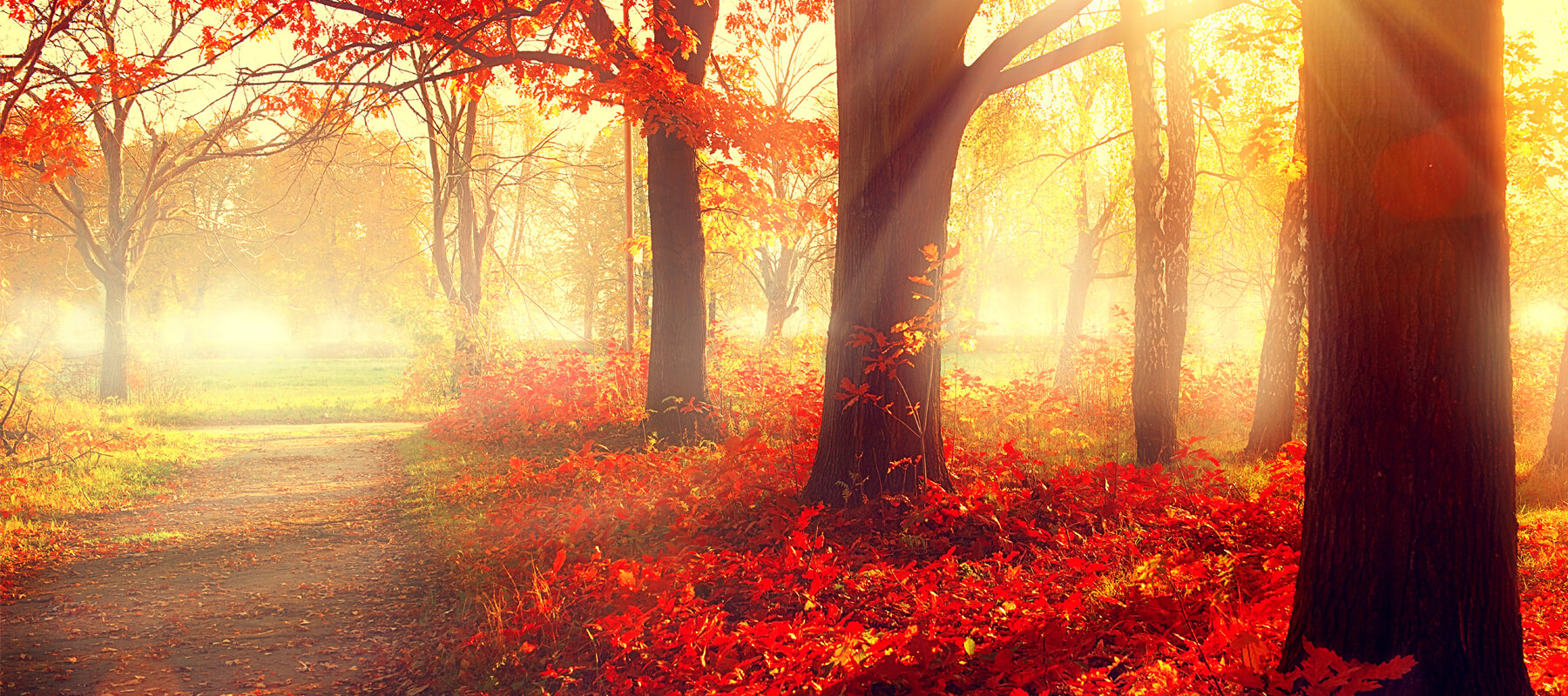 Fall Season Travel Offers for Online Cheap Flights Booking