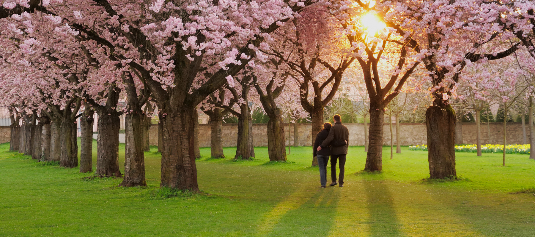Best Spring Travel Packages, Spring Travel Flight Deals
