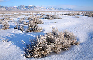 Great Basin National Park